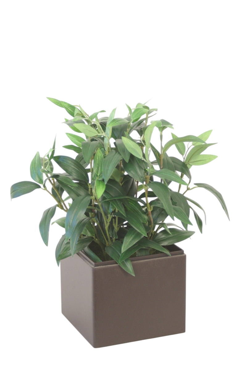 Distinctive Designs 20135 Ruscus Foliage in Dark Brown Planter Box
