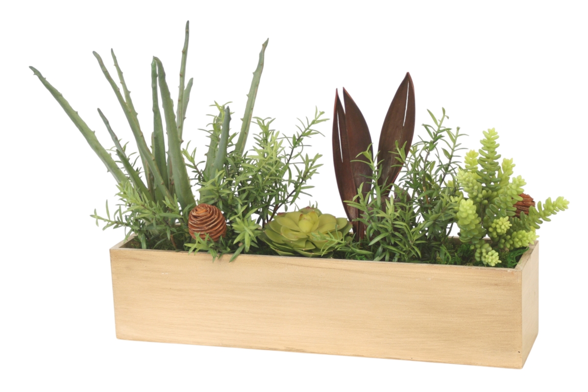 Distinctive Designs 20138 Succulent Garden Mix in Tan Rectangular Box