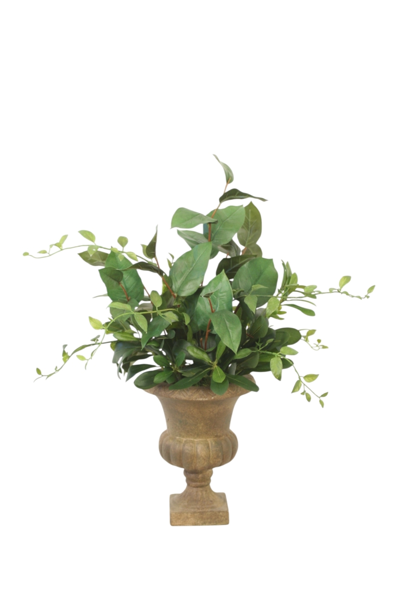 Distinctive Designs 20139 Bayleaf Mixed with Pittosporum in Classic Small Urn