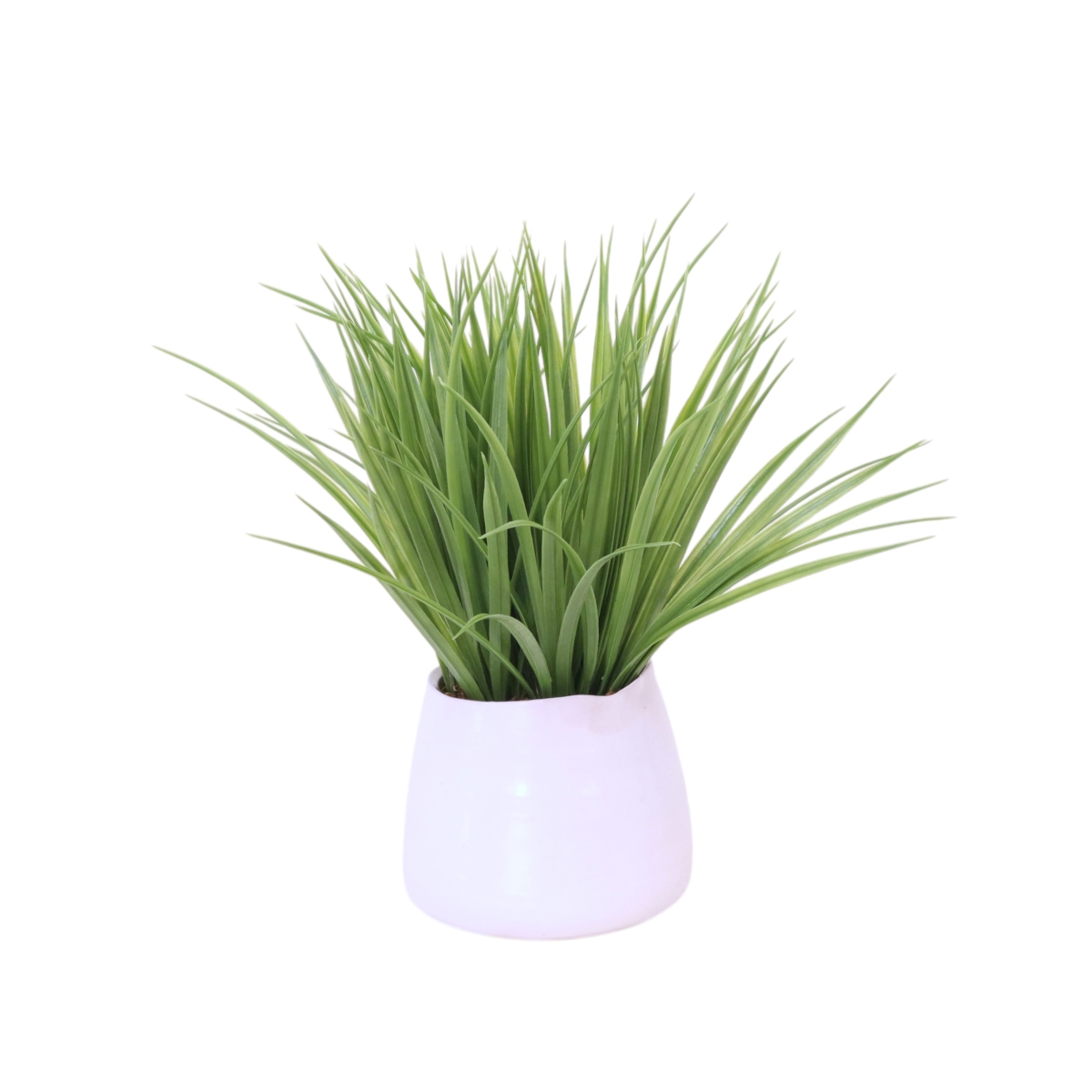 Distinctive Designs 20142 Grass in White Planter