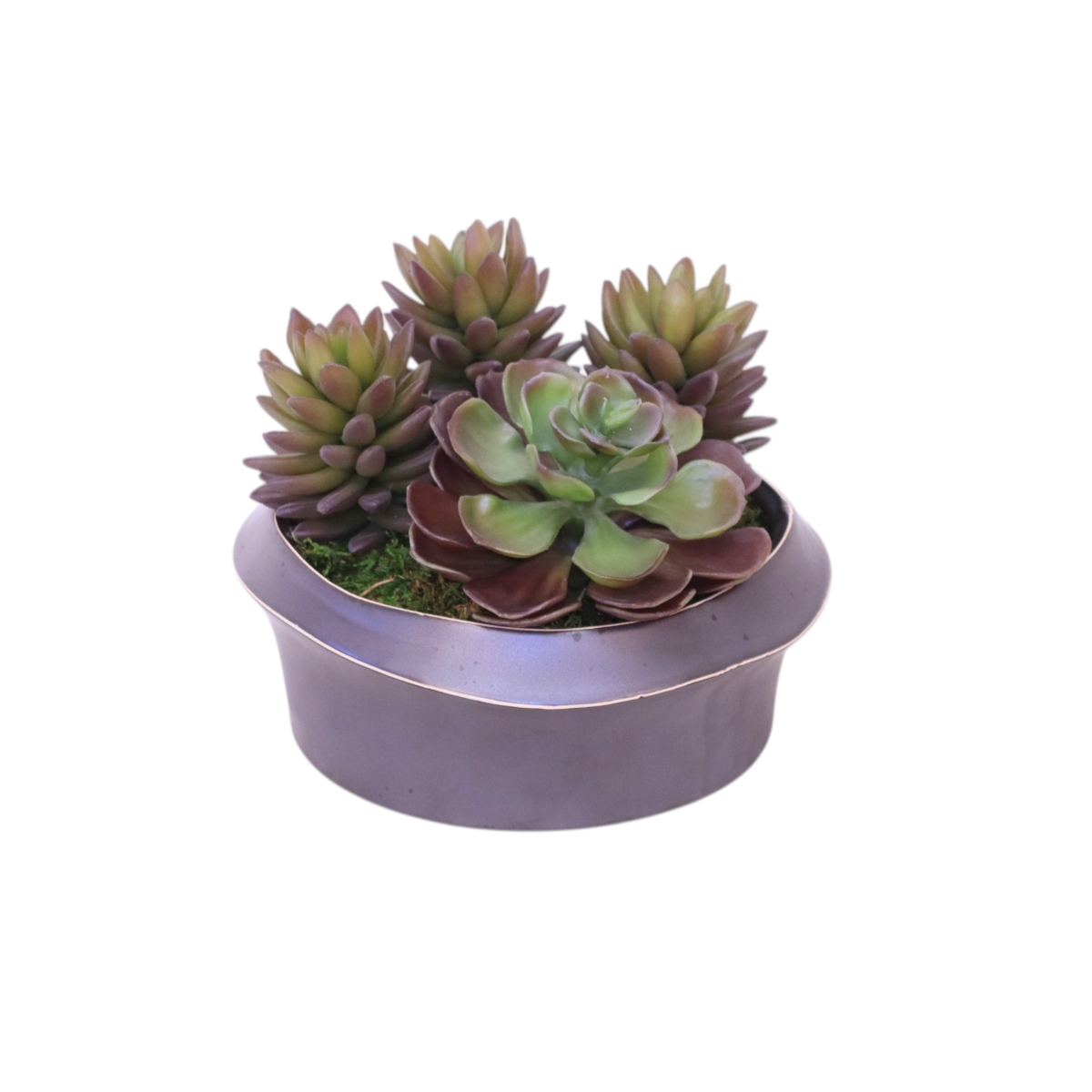Distinctive Designs 20143 Succulents in Metal Low Planter