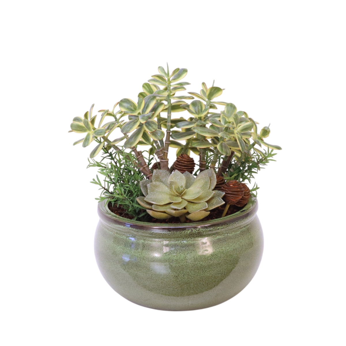 Distinctive Designs 20146 Succulent Garden in Green Garden Pot