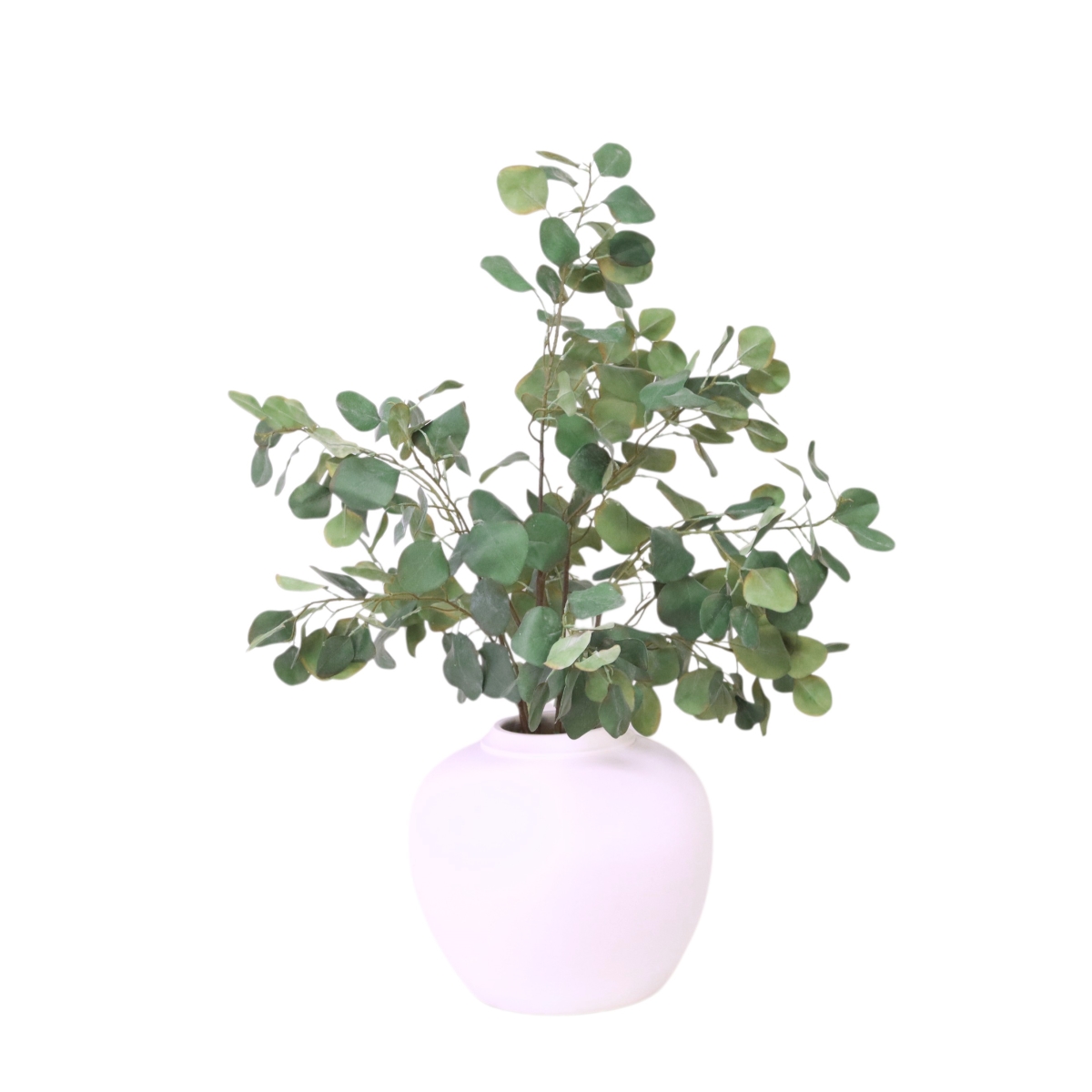Distinctive Designs 20148 Silver Dollar Eucalyptus in White Planter