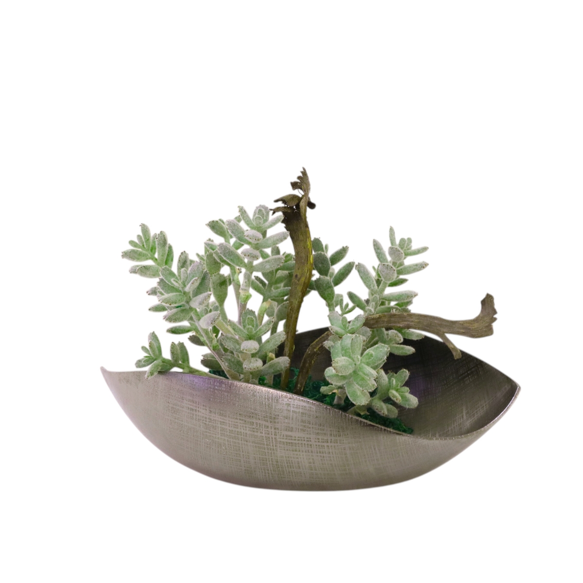 Distinctive Designs 20149 Succulents with Natraj in Cosmic Curve Bowl