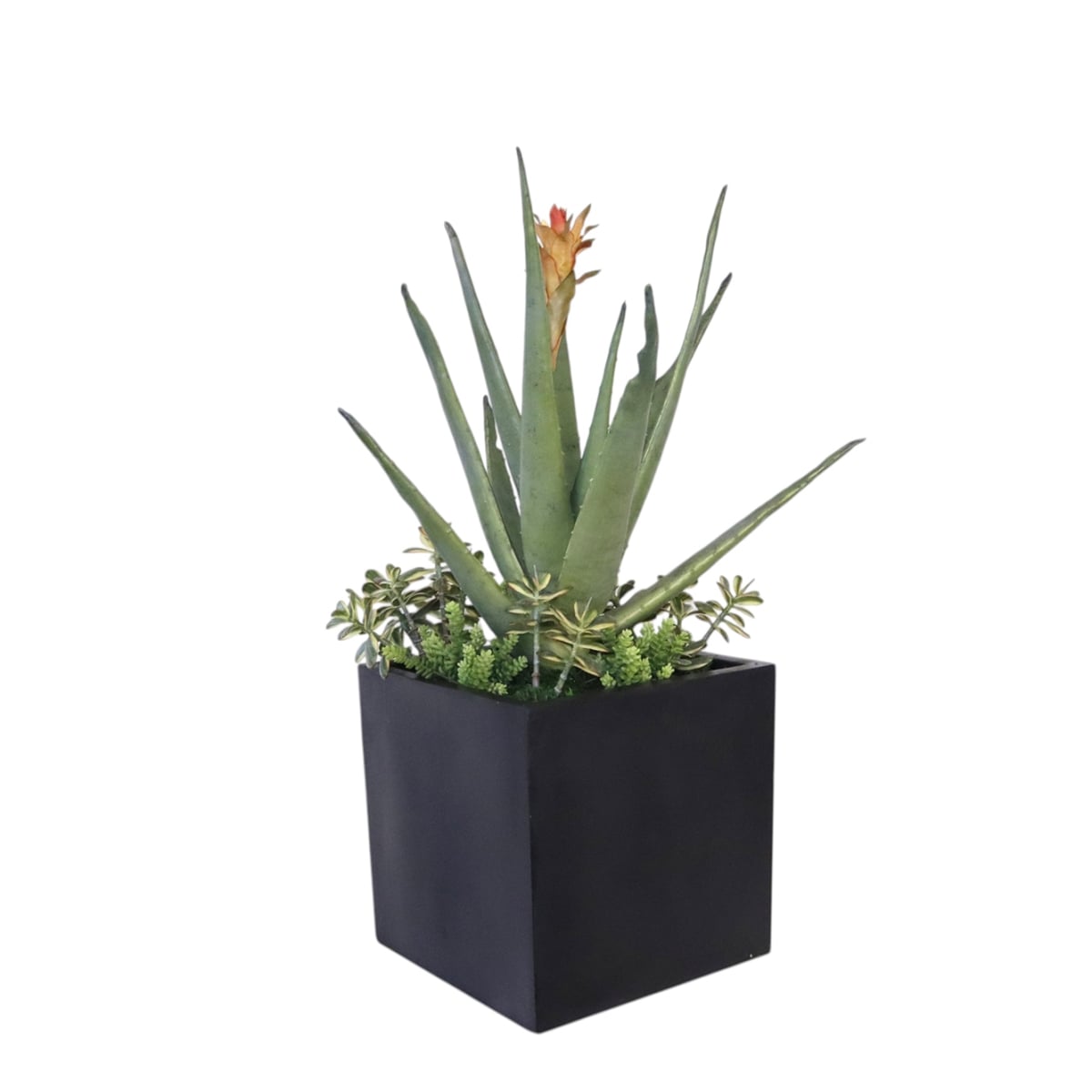 Distinctive Designs 20150 Agava Plant with Mixed Succulents