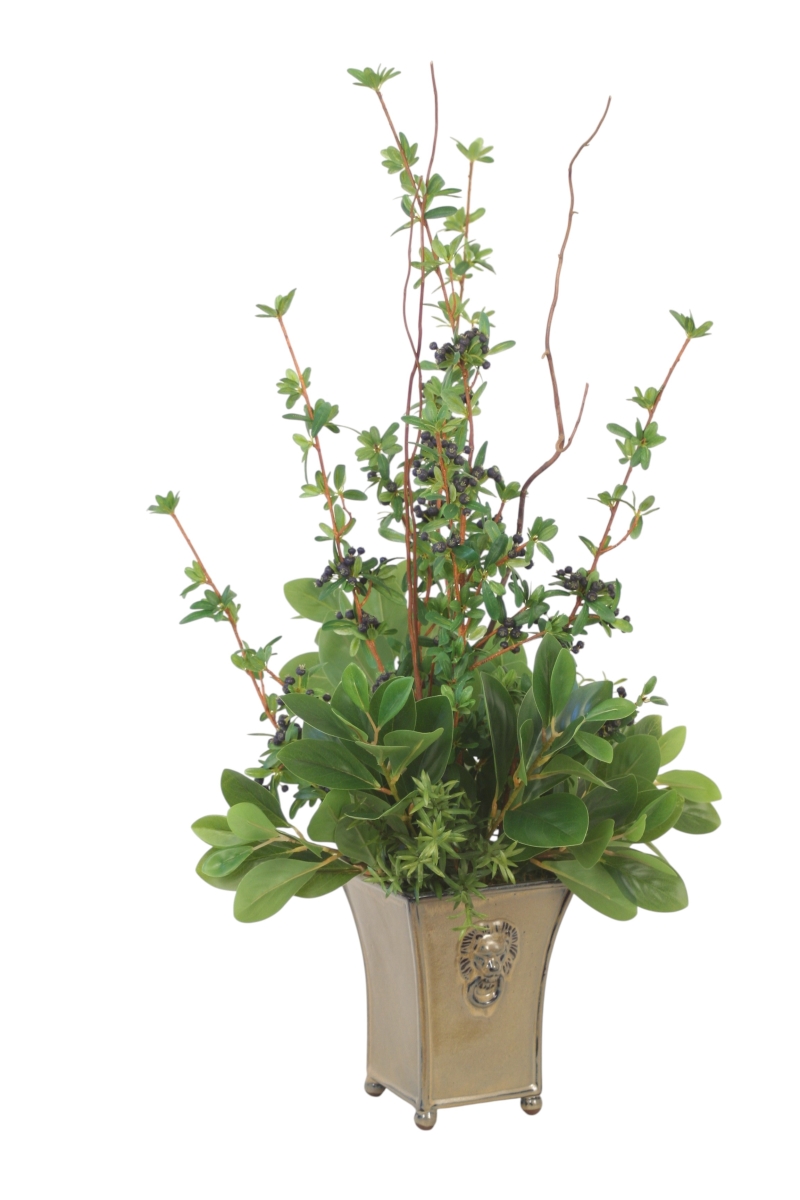 Distinctive Designs 20158 Firethorn Berries with Peperomia Bush in Lion Head Planter