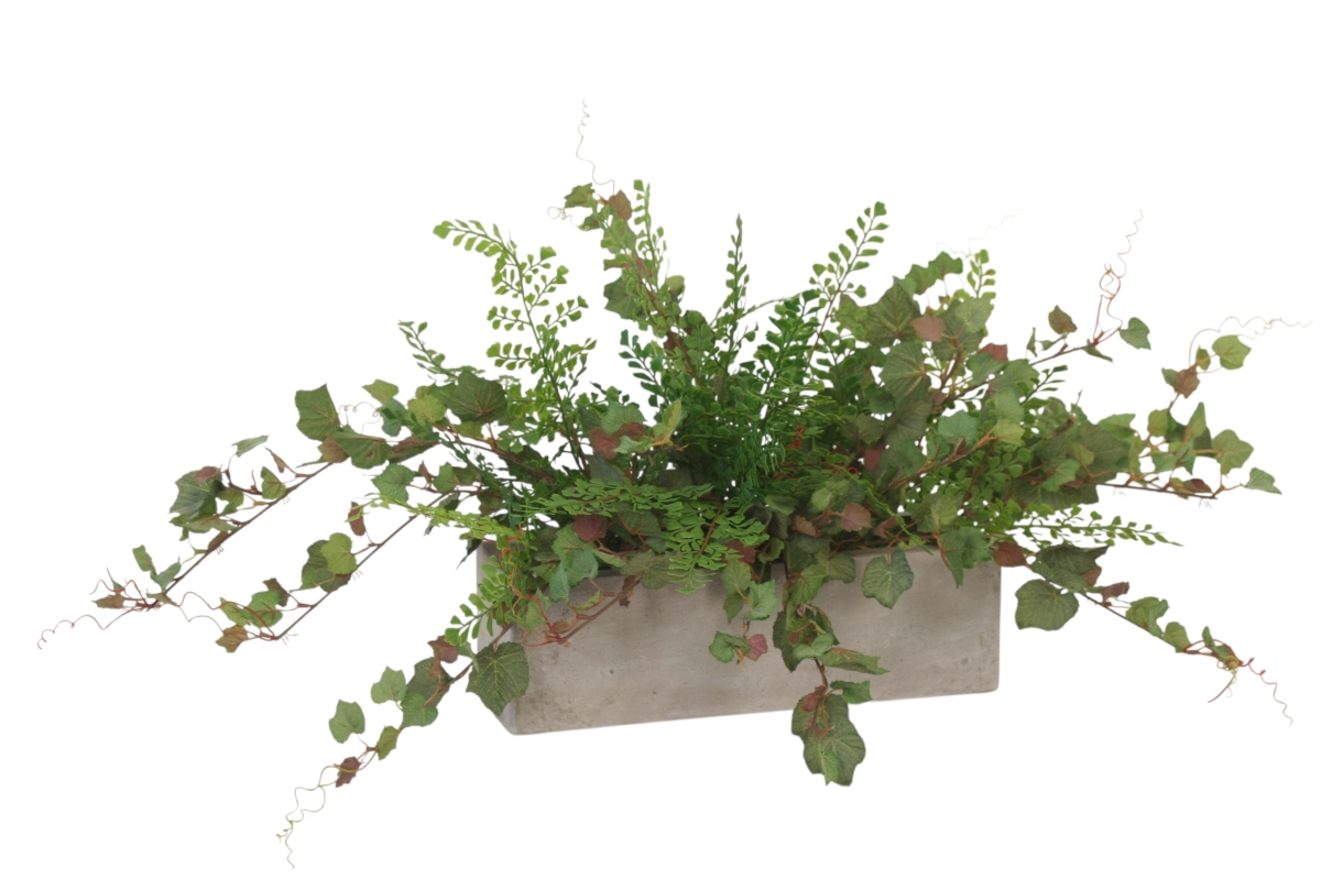 Distinctive Designs 20159 Maiden Hair Mixed with Flocked Grapeleaf in Concrete Box