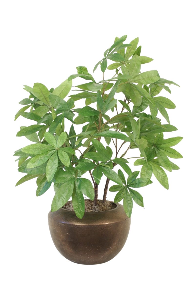 Distinctive Designs 20163 Money Tree in Bronze Floor Planter
