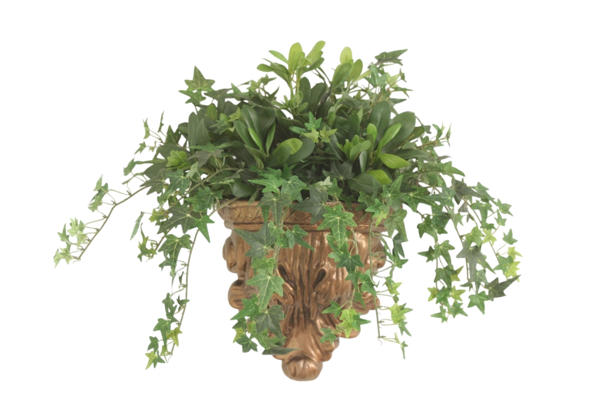 Distinctive Designs 20164 Mini Ivy Mixed with Pittosporum in Wall Sconce
