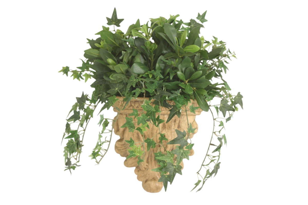Distinctive Designs 20165 Mini Ivy Mixed with Pittosporum in Wall Sconce