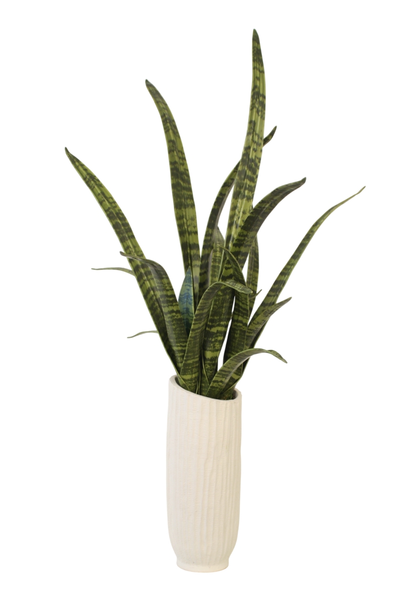 Distinctive Designs 20167 Sansevieria Snake Plant in Cream White Vase