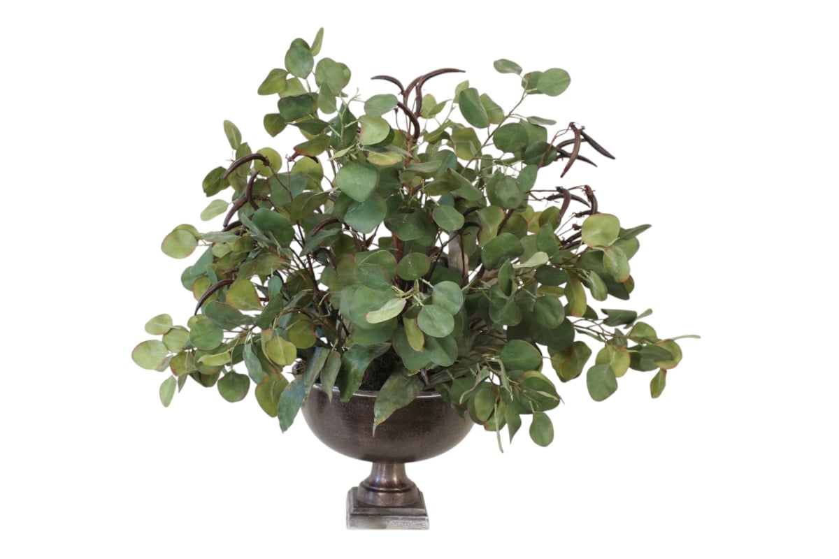 Distinctive Designs 20168 Eucalyptus Mixed with Flax Flower & Capsenia Leaves in Urn