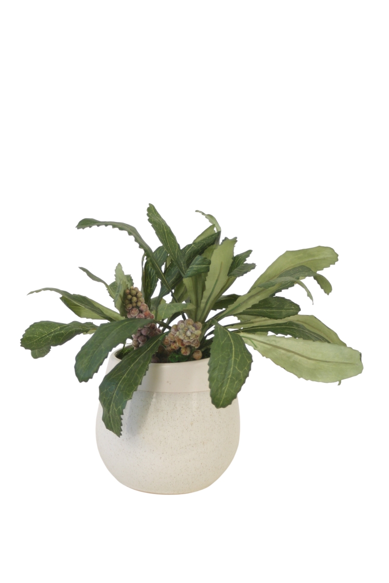 Distinctive Designs 20172 Succulent Leaves in Grey White Planter