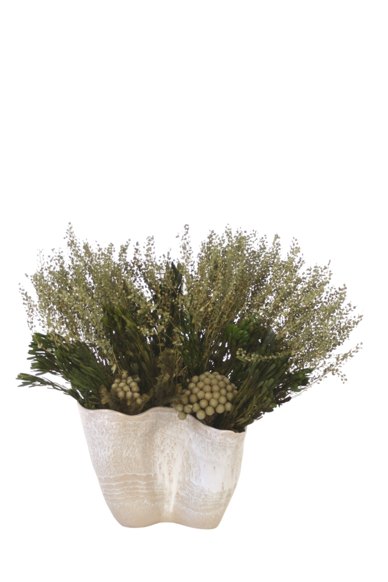 Distinctive Designs 20174 Dried Lepidium Basil with Platys & Brunia in Wave Container