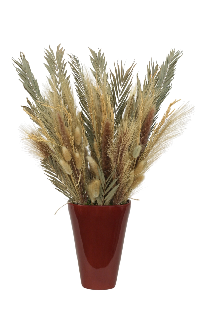 Distinctive Designs 20180 Tan Natural Grasses in Oxblood Vase