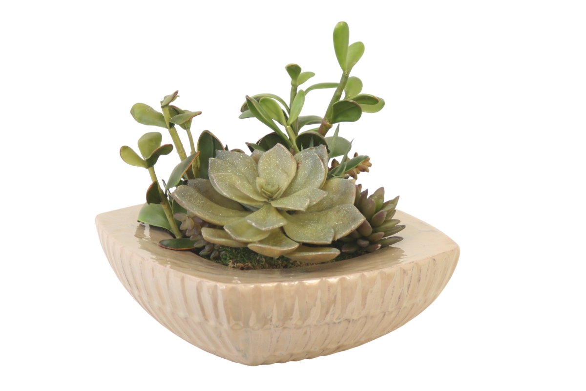 Distinctive Designs 20181 Succulent Garden in Tan Square Planter