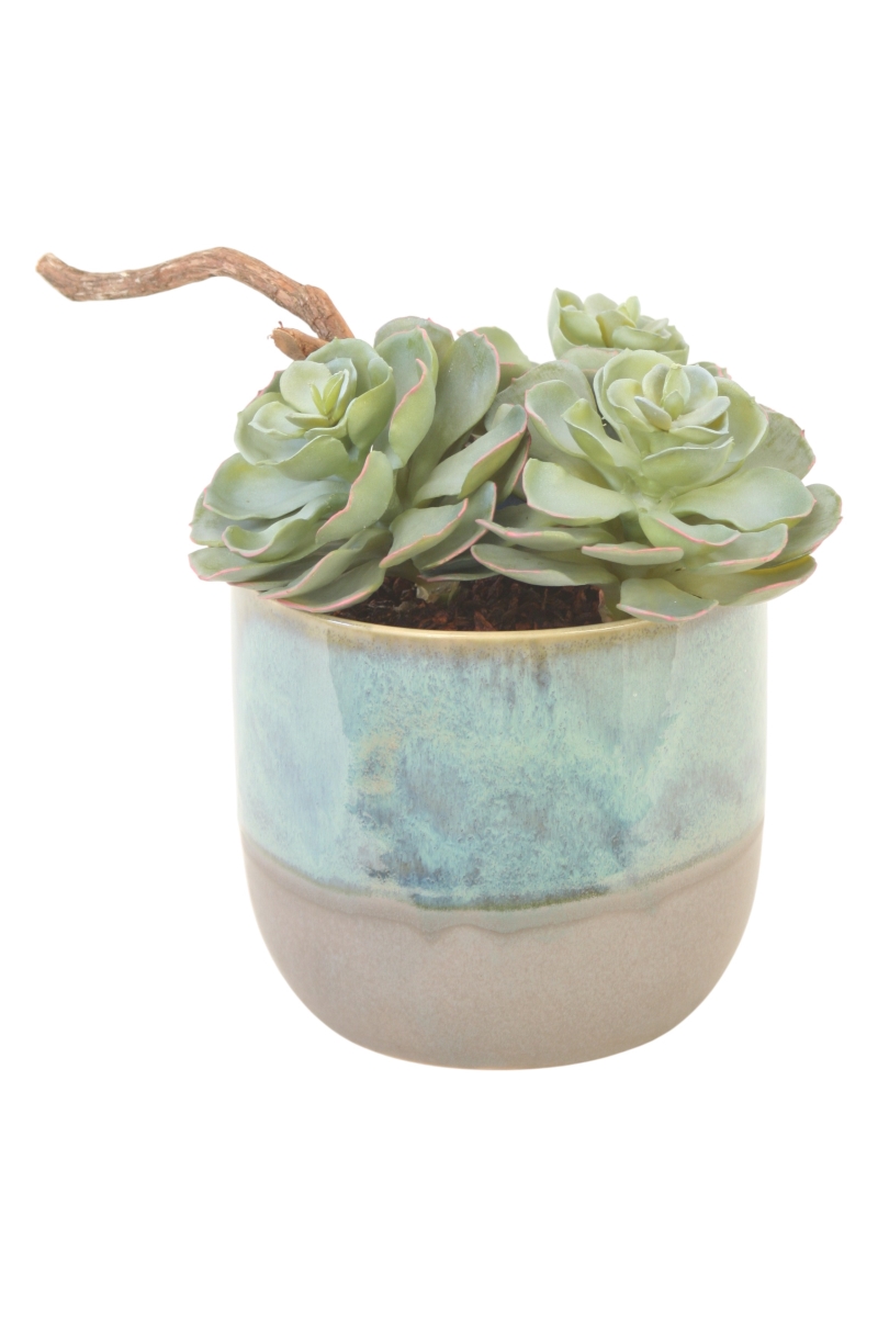 Distinctive Designs 20183 Rosette Succulents in Turquoise & Grey planter