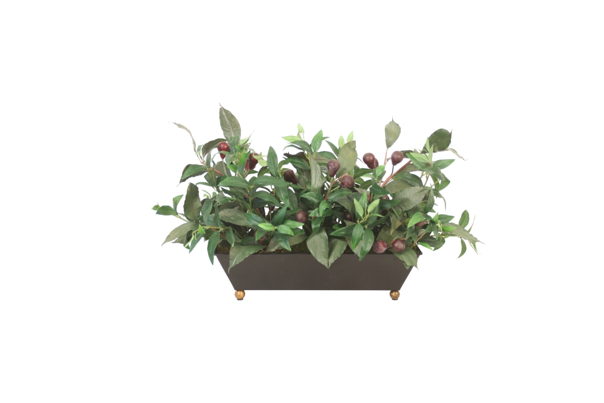 Distinctive Designs 20186 Olive Branches & Greenery in Footed Metal