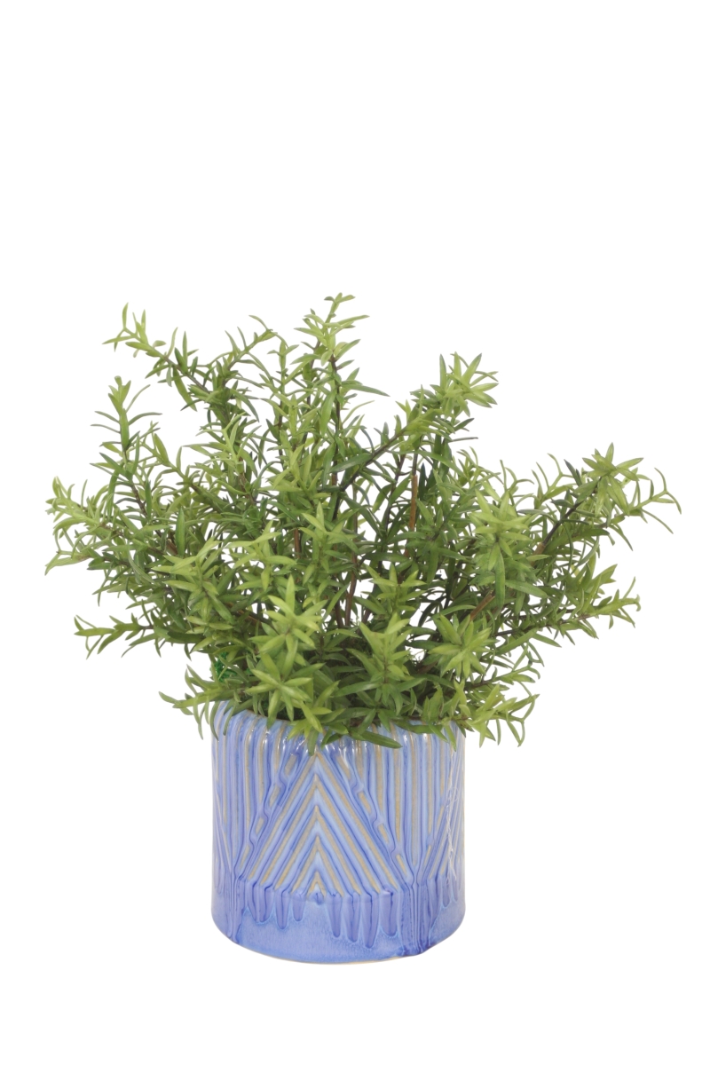 Distinctive Designs 20187 Rosemary in Blue Planter