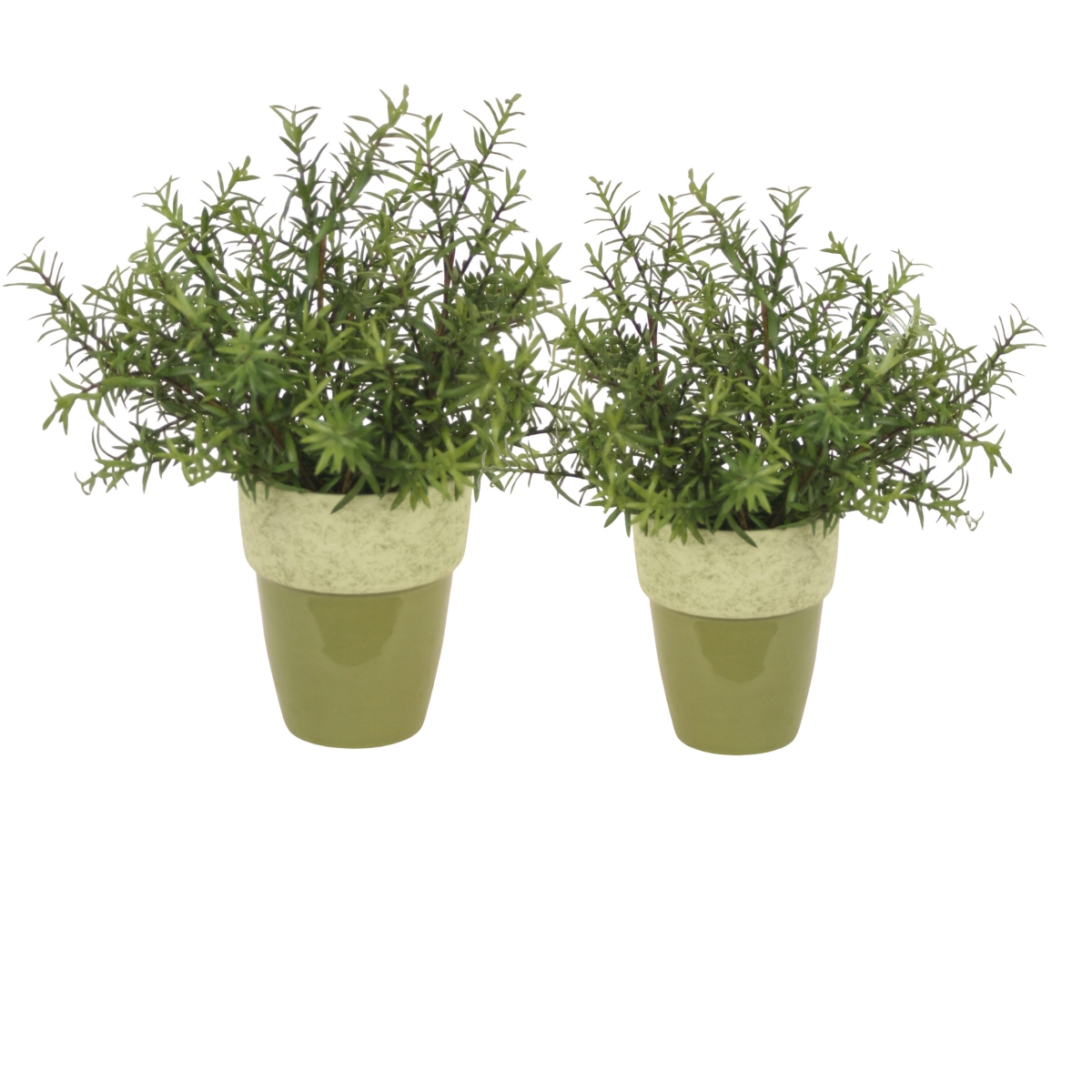 Distinctive Designs 20188 Rosemary in Green Planter