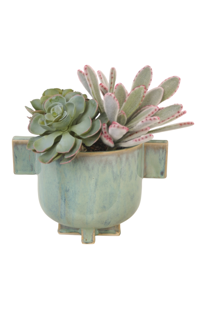 Distinctive Designs 20190 Panda, Hen & Chicken Succulents in Turquoise Planter