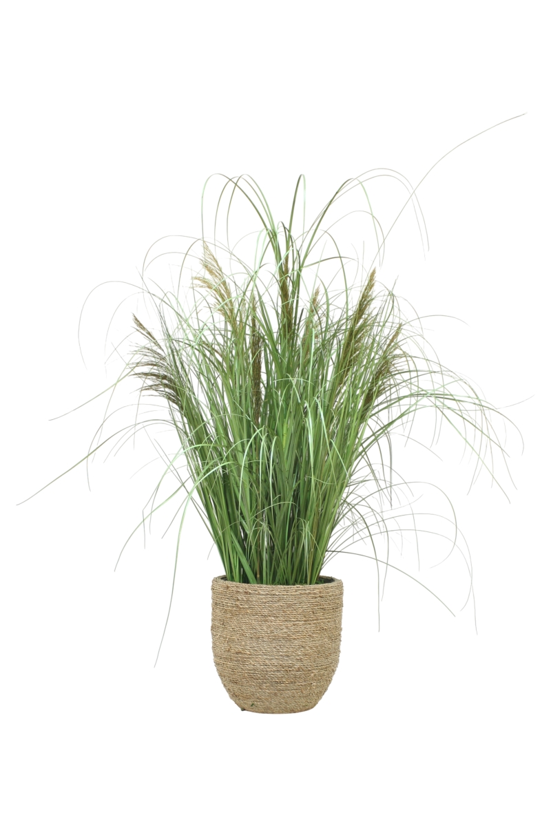 Distinctive Designs 20192 Mixed Grasses Preserved Reeds in Rope Planter