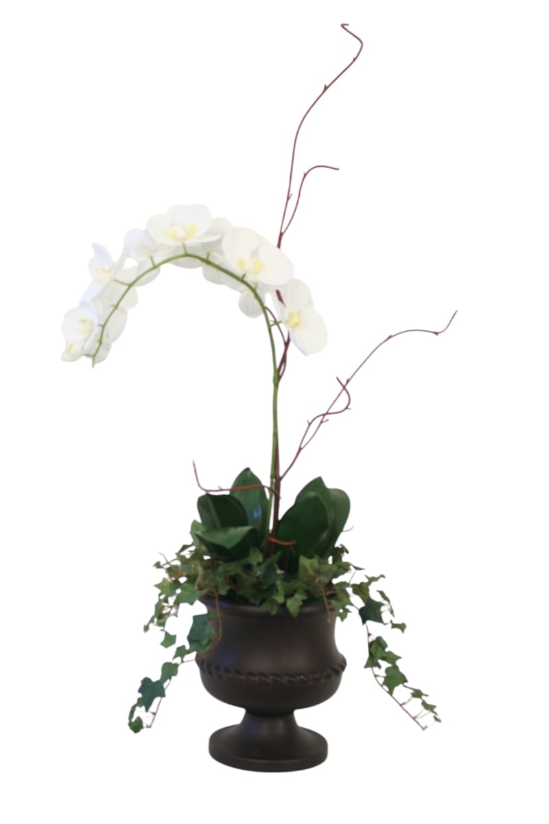 Distinctive Designs 30112 Cream White Phalaenopsis Orchids in Urn