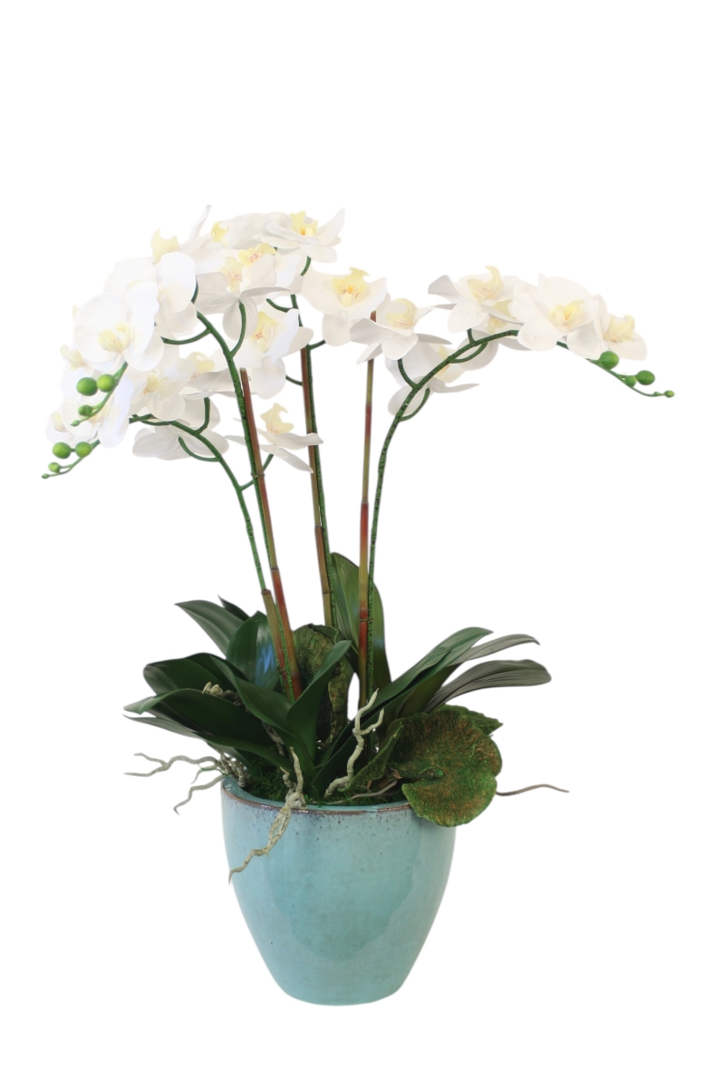 Distinctive Designs 30115 Phalaenopsis Orchids in Blue Bowl