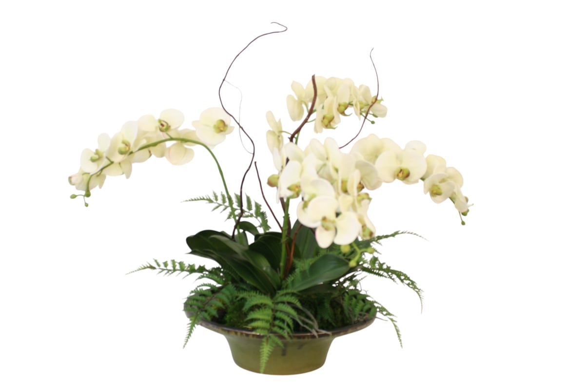 Distinctive Designs 30118 Cream Green Phalaenopsis in Green & Bronze Bowl