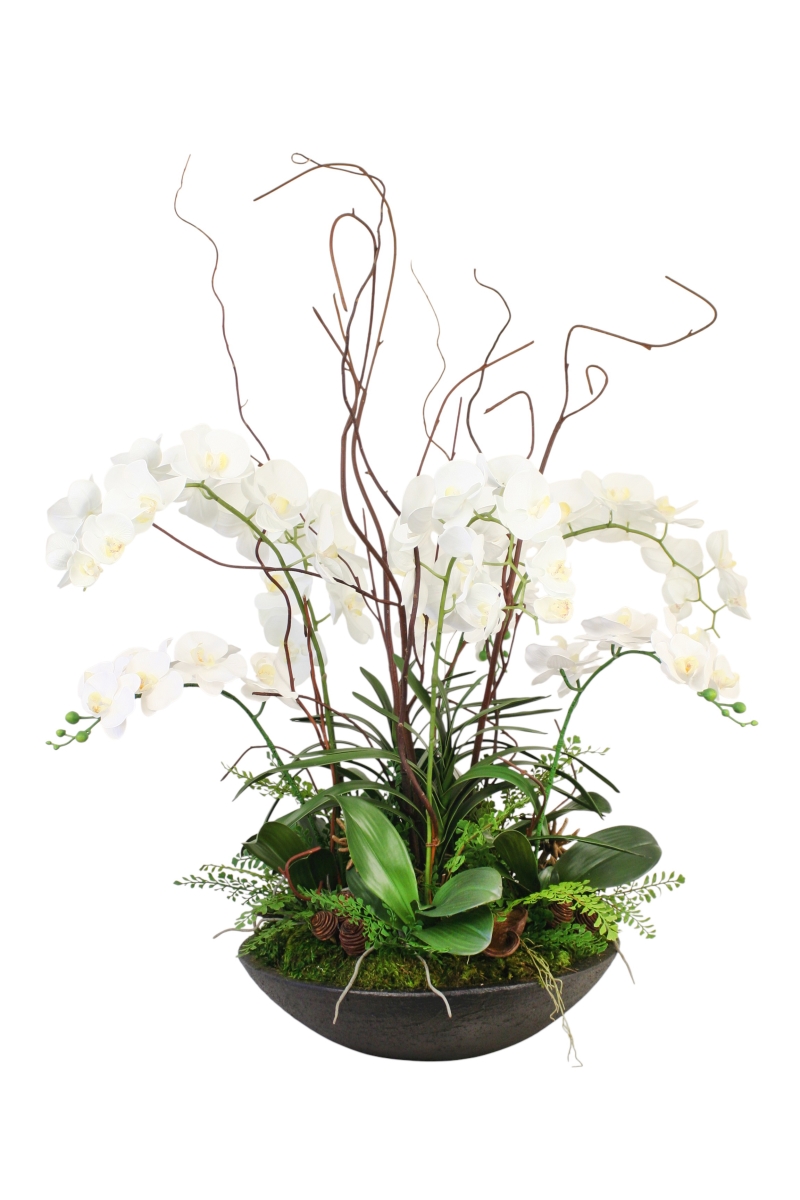 Distinctive Designs 30123 White Phalaenopsis in Bronze Sto are