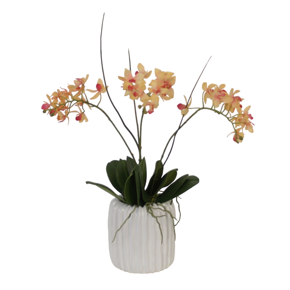 Distinctive Designs 3083 Mini Orchid with Foliage in Ribbed White Vase