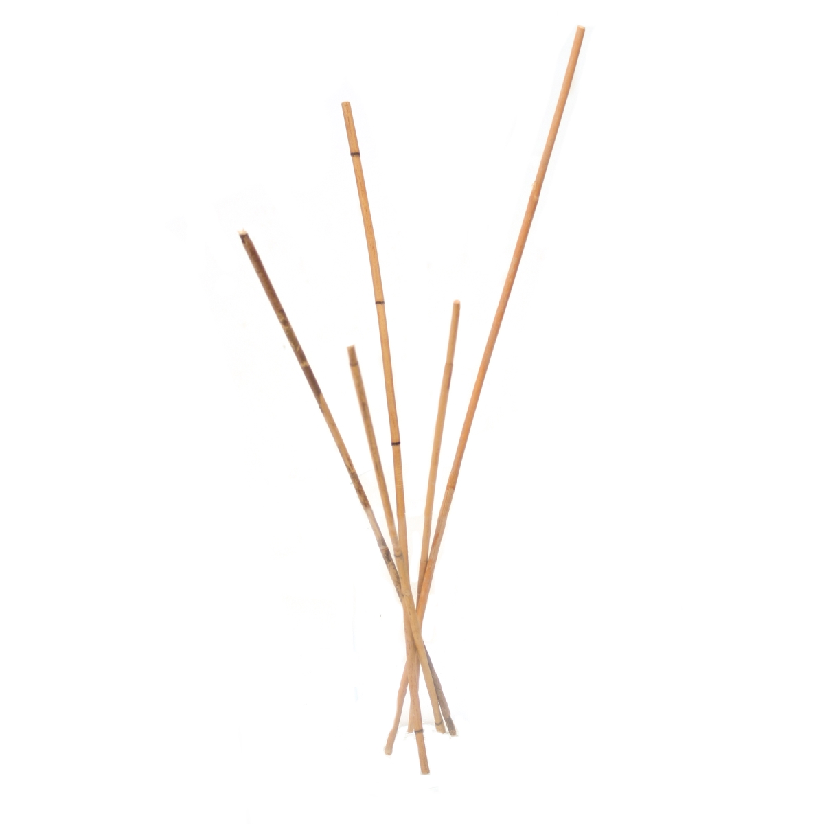Distinctive Designs PLT184 Asst Rattan Poles Set/11