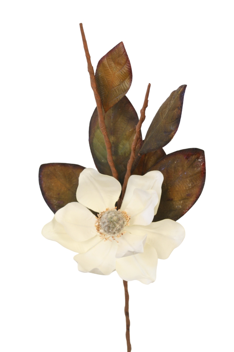 DW2223ANWH Lg Magnolia Spray X 1