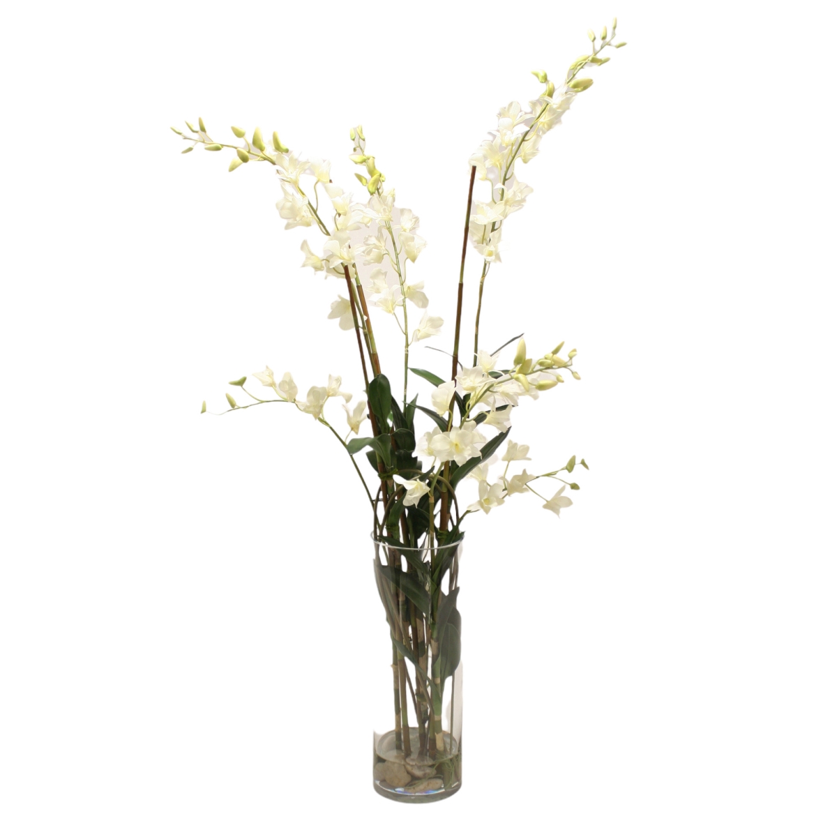 15834A Distinctive Designs Waterlook® Cream White Dendrobium Orchids with Grass and Bamboo in Glass Cylinder