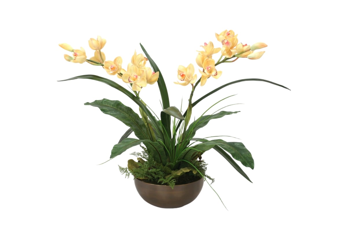 2707A Distinctive Designs Pale Yellow Cymbidium Orchid Plants with Ferns in Metal Bronze Bowl