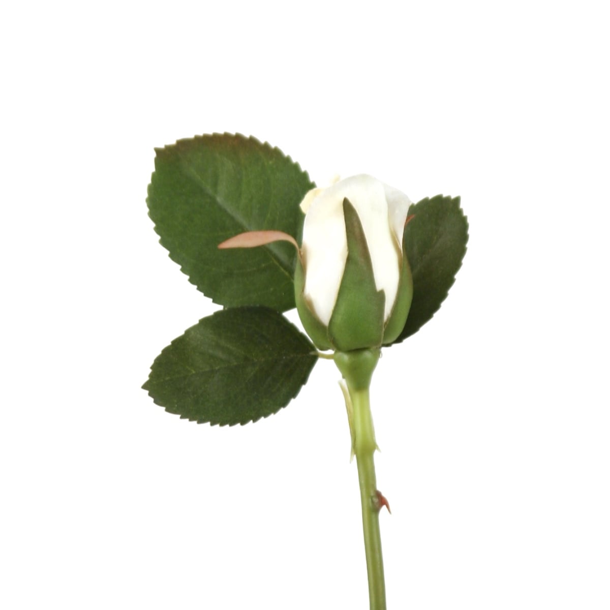 Distinctive Designs DI724BWWH Small Rose Bud With Leaves In Bridal White