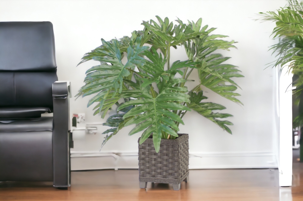 2135 Distinctive Designs Philodendron Selloum Leaves in Grey Wash Pot