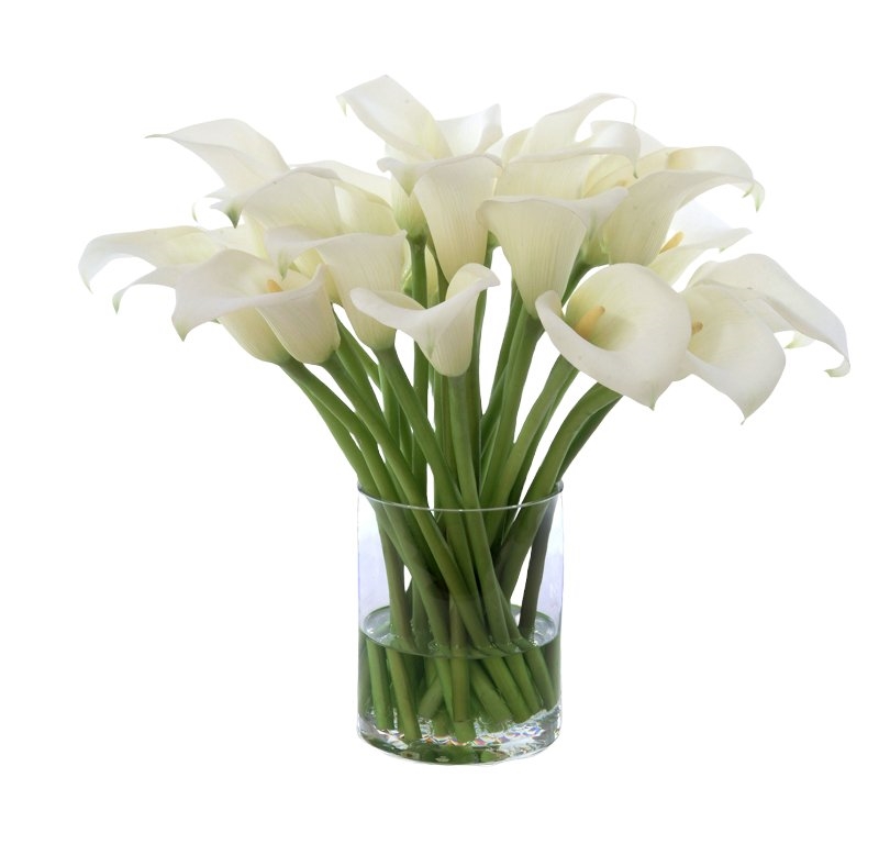 15461A Distinctive Designs Waterlook® Cream-White Calla Lilies in Clear Glass Cylinder