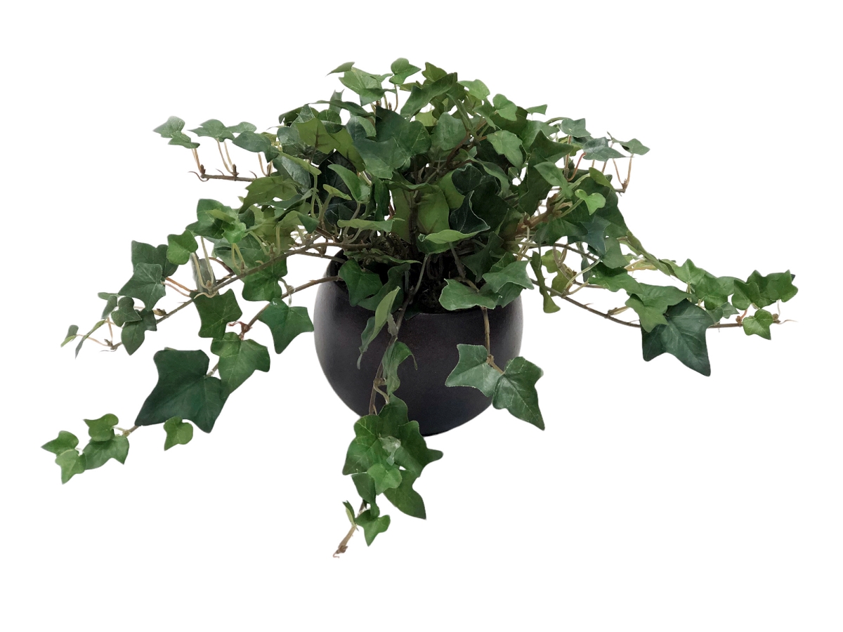 1905C Distinctive Designs Mountain Ivy in Small Round Crystal Bronze Planter (Min pk 3)
