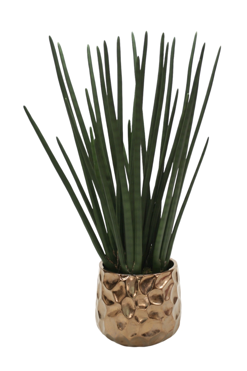 1920A Distinctive Designs Sanseveria in Burnt Gold Gabbi Pot
