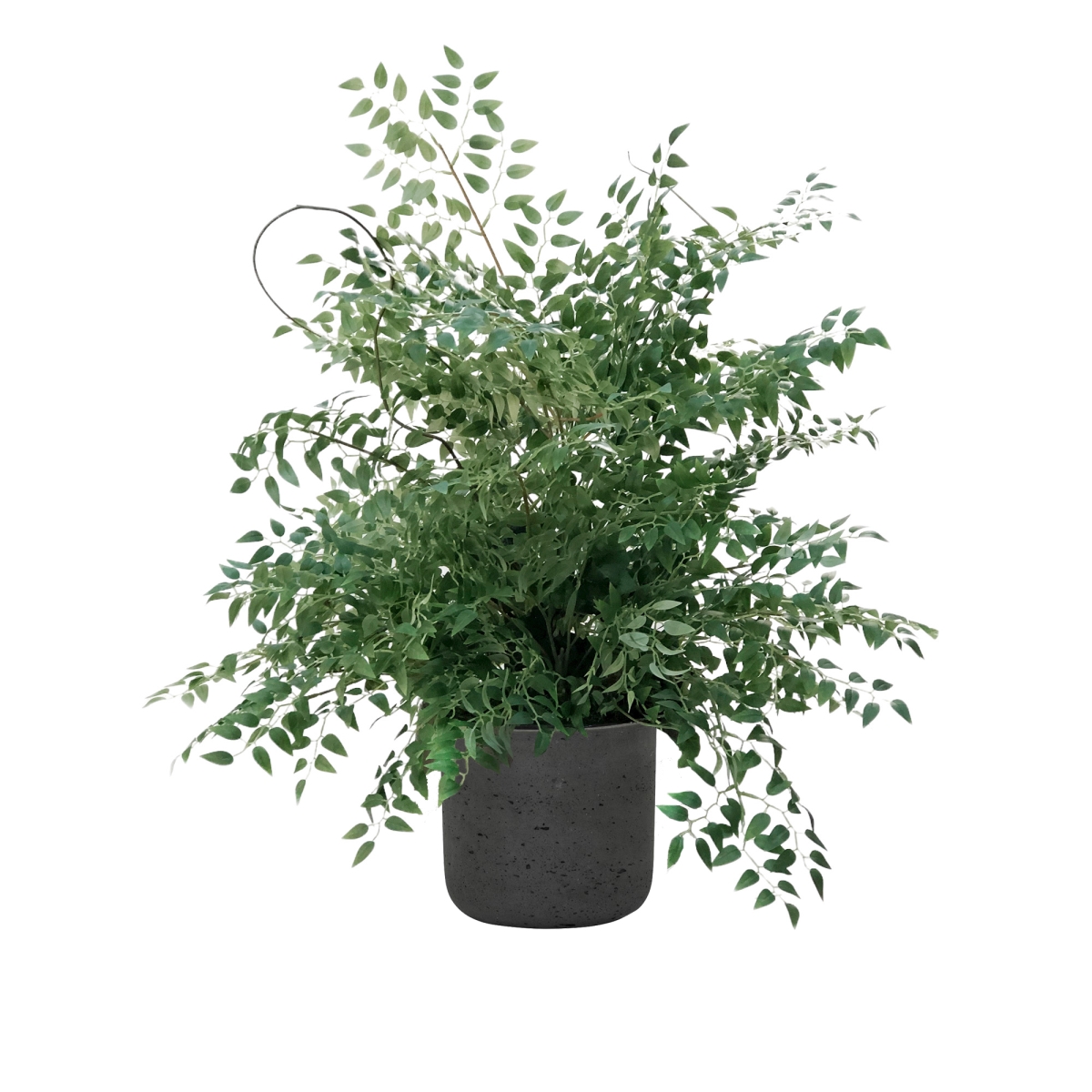 Distinctive Designs 2258B Smilax and Curly Willow in Black Wash Pot