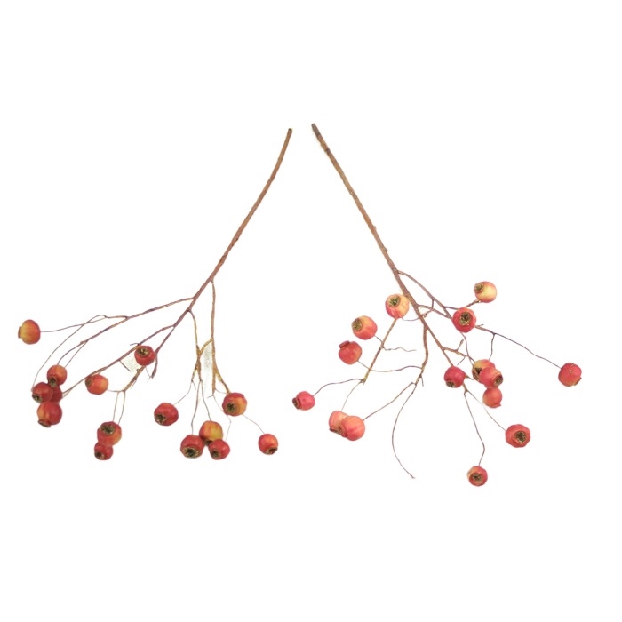 DI501BG 45Crabapple Spray X 3