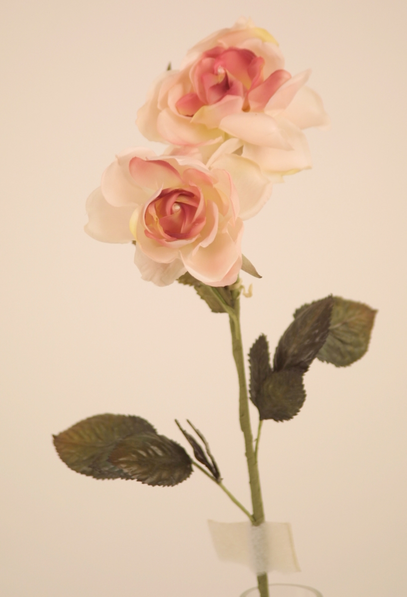DW1031PC Rosa Demacena