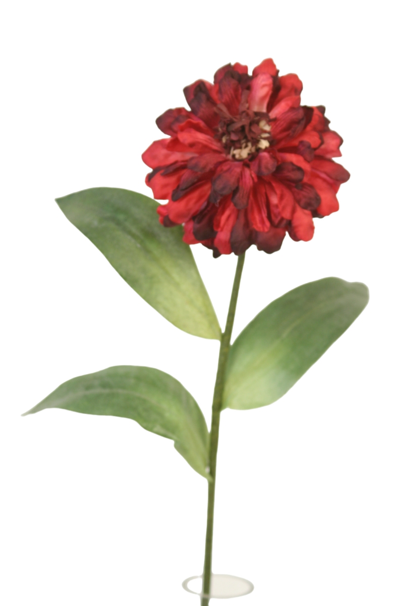DW1008BG Single Zinnia -Burgundy