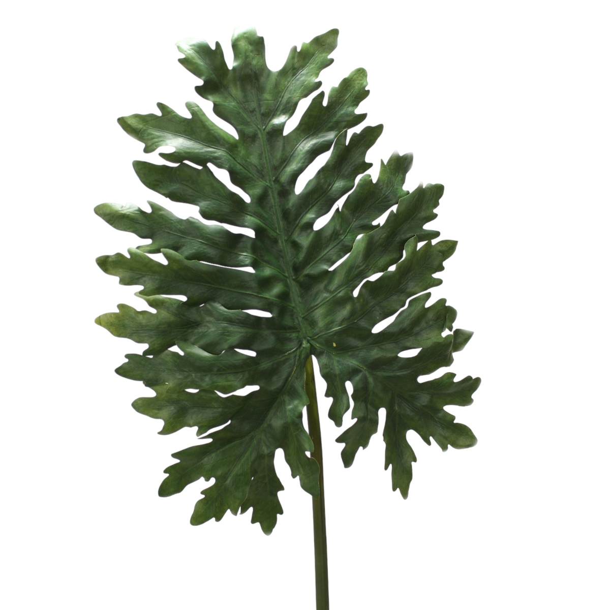 Distinctive Designs DT-60 40'SELLOUM PHILODENDRON LEAF/ (Set of 6)