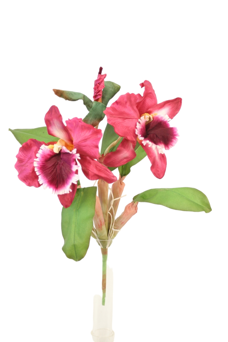 Distinctive Designs DS-9941-WN CATTLEYA ORCHID, WINE/ (Set of 12)