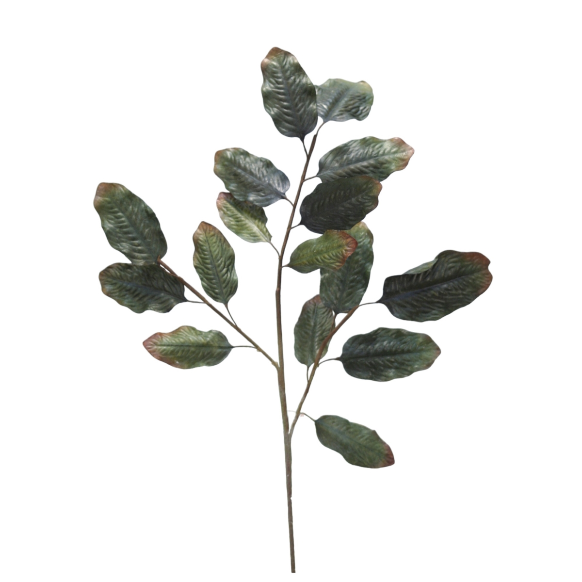 Distinctive Designs DW-1072 Protea Foliage
