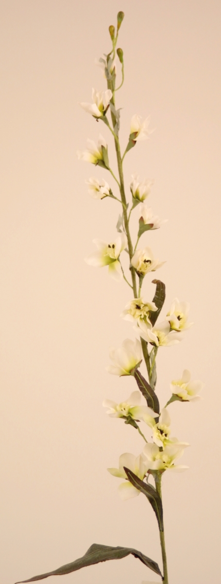 Distinctive Designs DW-1056-WH SMALL DELPHINIUM - WHITE/ (Set of 12)