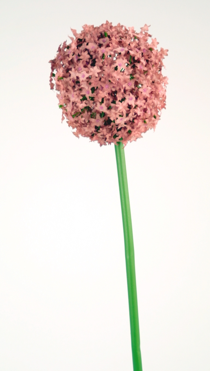 Distinctive Designs DS-818-RORD ALLIUM STEM/ (Set of 6)