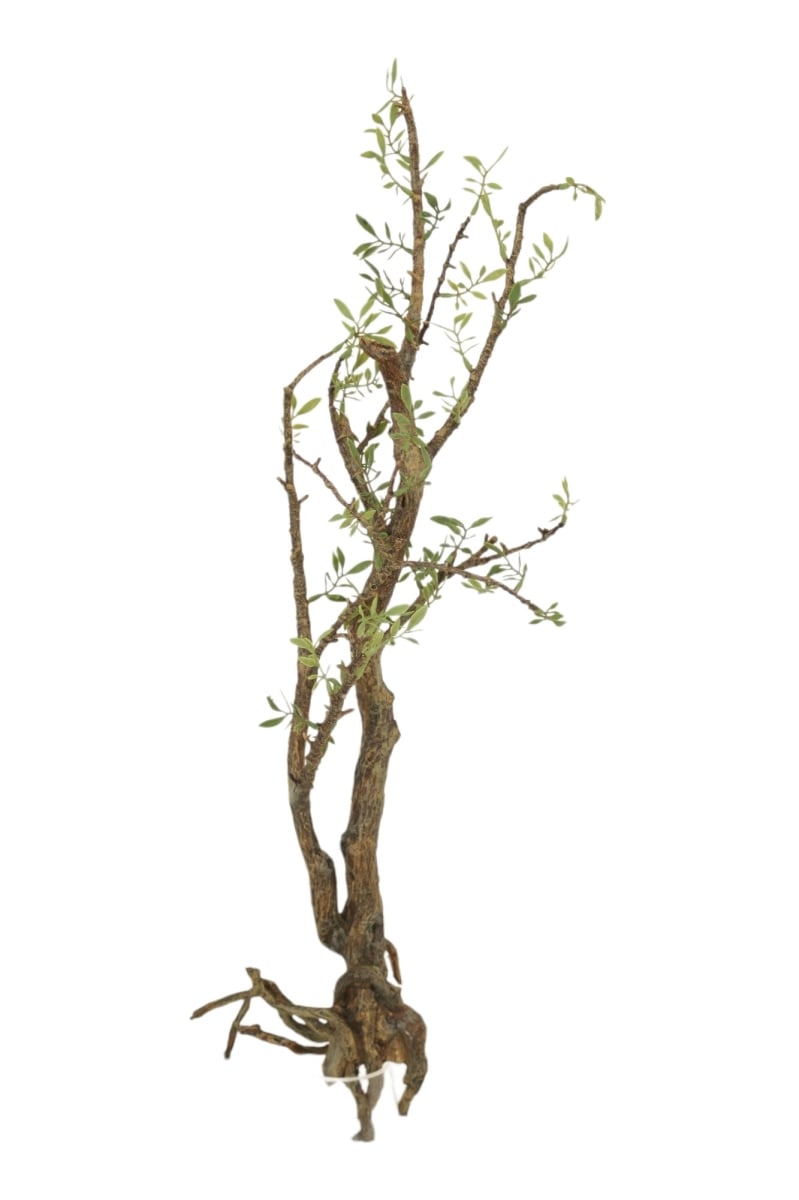Distinctive Designs DT-102 BONSAI W/LEAVES/ (Set of 4)